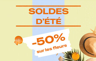 Fleurs de CBD